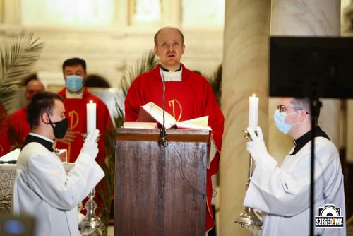 Virágvasárnapi püspöki szentmise a Dómban 