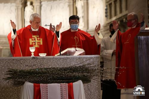 Virágvasárnapi püspöki szentmise a Dómban 