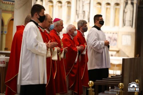 Virágvasárnapi püspöki szentmise a Dómban